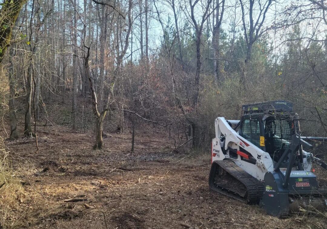 A white and black tractor is in the woods