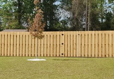 A dog in the grass near a wooden fence.